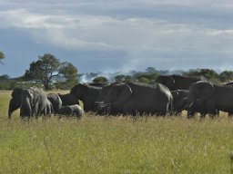 Seronera_and_Lobo2003-032